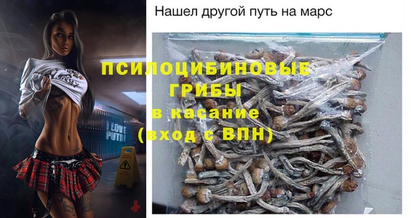 spice Арсеньев