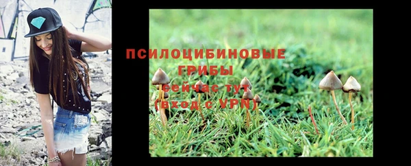 MDMA Premium VHQ Армянск