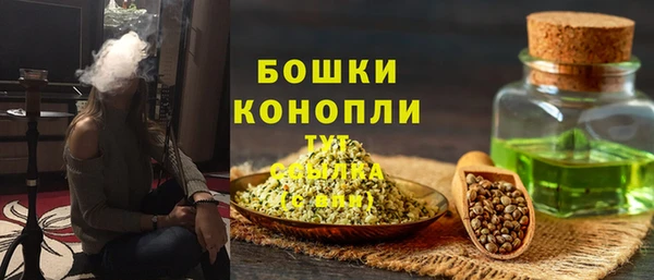 spice Арсеньев