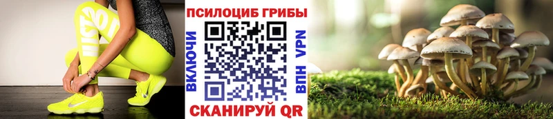 Псилоцибиновые грибы Psilocybe  магазин    Ачхой-Мартан 